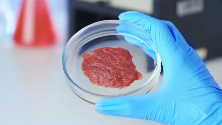 Bacteriófagos abren nuevas opciones contra patógenos alimentarios